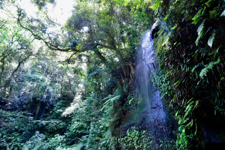 八丈島　裏見ヶ滝