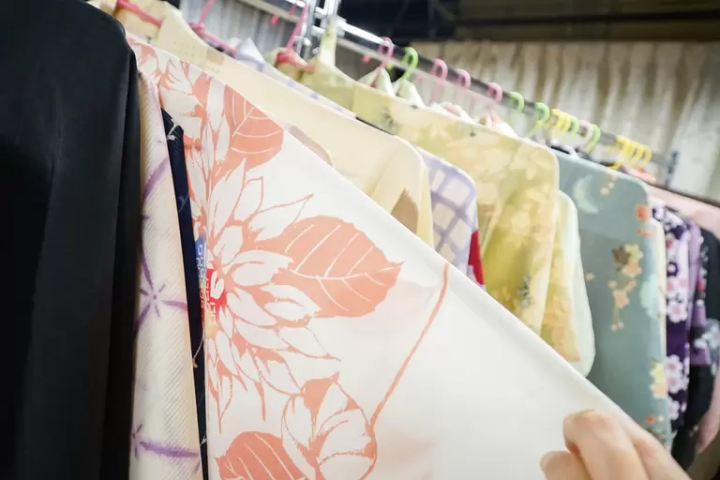 Strolling Through the Charming Town of Izushi in Rental Kimono