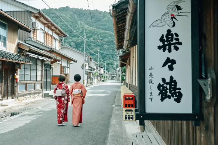Strolling Through the Charming Town of Izushi in Rental Kimono