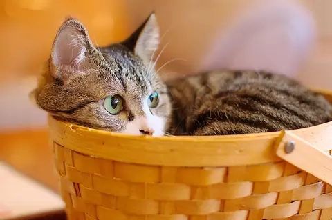 東京・多摩センターのおしゃれ穴場カフェ7選！ゆったりできる場所をご紹介