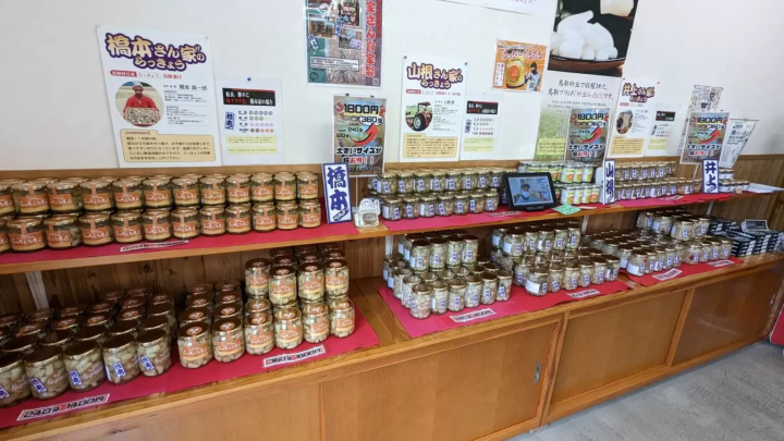 【鳥取県岩美町】遊覧船だけじゃない！浦富海岸遊覧船乗り場の楽しみ方ガイド