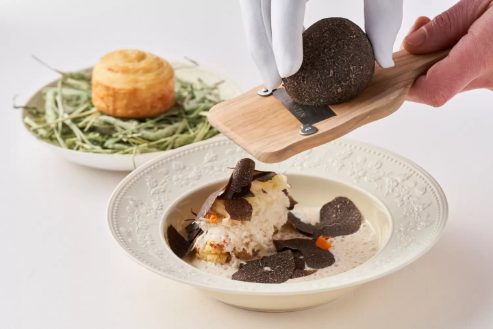 2024년 교토 아라시야마에서 특별한 크리스마스와 새해를 맞이하자