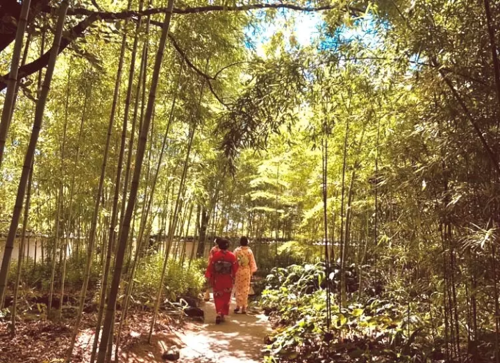 【효고】효고를 즐기는 방법! 현지에서 기술, 문화, 역사를 체험합시다.