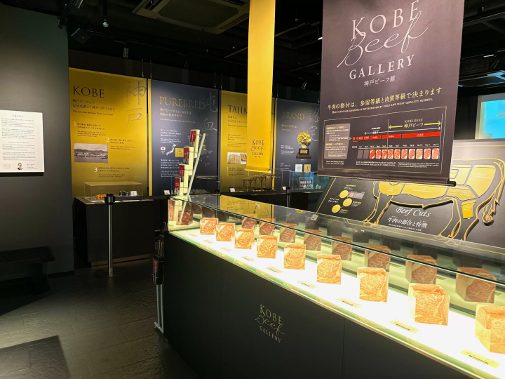 【효고】효고를 즐기는 방법! 현지에서 기술, 문화, 역사를 체험합시다.