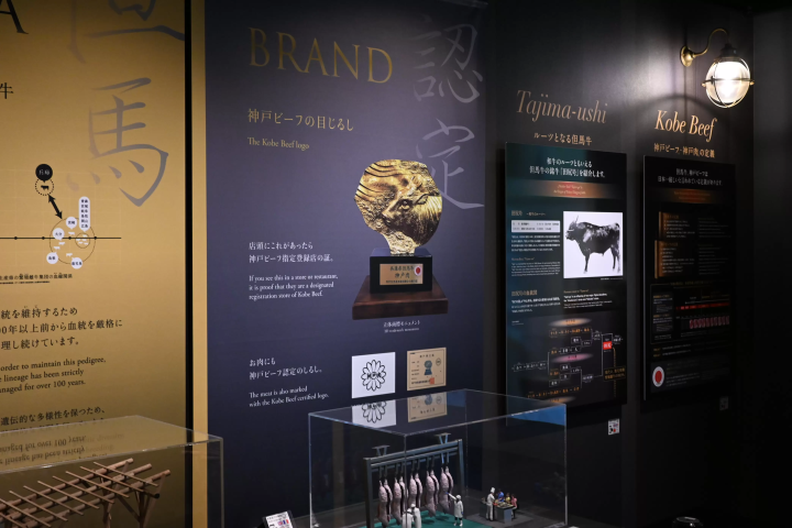 Surf & Turf: อาหารและอุตสาหกรรมรสเลิศของเฮียวโกะ