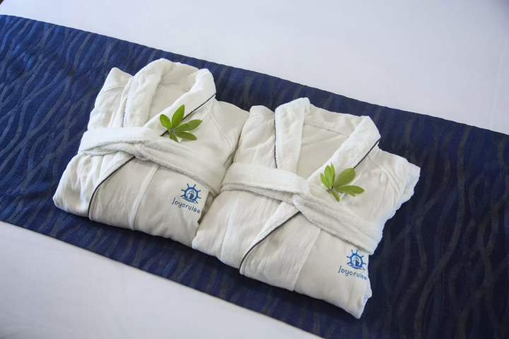 Charter a Luxury Italian Cruiser - Introducing the Ship ③ -