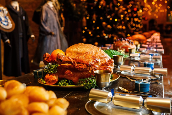 Tokyo Harry Potter Studio Christmas