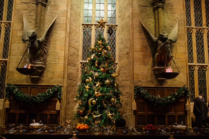 Tokyo Harry Potter Studio Christmas