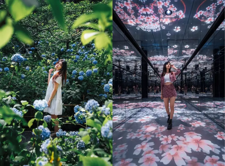 정말 고용해야 할 일본 최고의 사진작가 12명