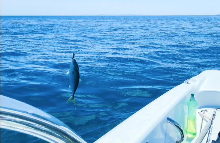 [2024-2025] สนุกและหลีกเลี่ยงฝูงชน! 3 โรงแรมพักผ่อนที่ดีที่สุดในญี่ปุ่น