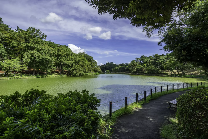 埼玉　大宮公園