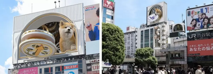 Shibuya 3D Billboard