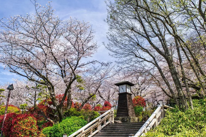 Asukayama Park 