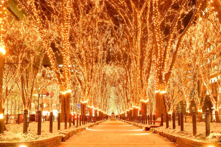 SENDAI Pageant of Starlight