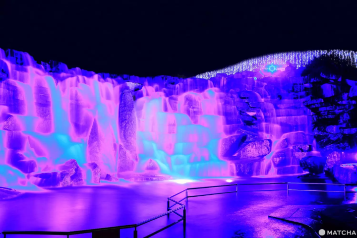 まんのう公園 ウィンターファンタジーの時間は？料金は？いつまで？に回答