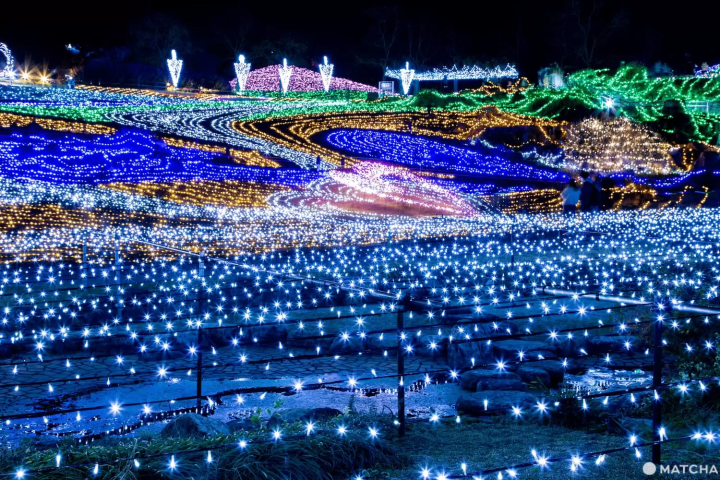 まんのう公園 ウィンターファンタジーの時間は？料金は？いつまで？に回答