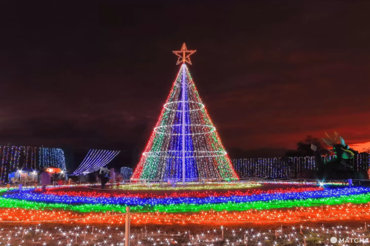 まんのう公園 ウィンターファンタジーの時間は？料金は？いつまで？に回答