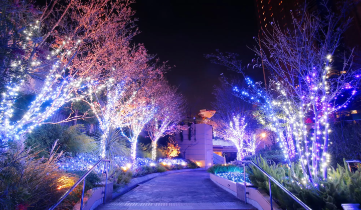 なんばパークスのイルミネーション