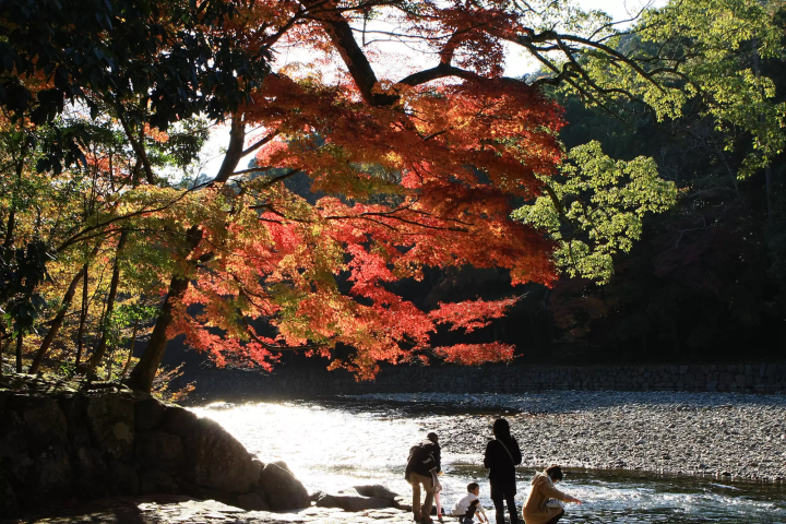 【三重】伊勢神宮及周邊觀光必訪景點整理,一日散策這樣安排!