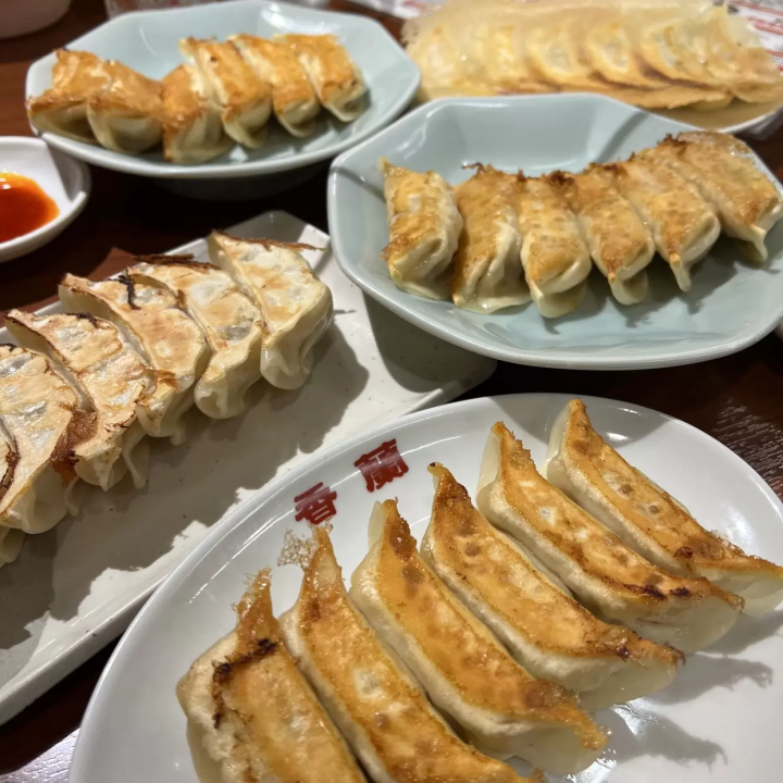 Utsunomiya gyoza