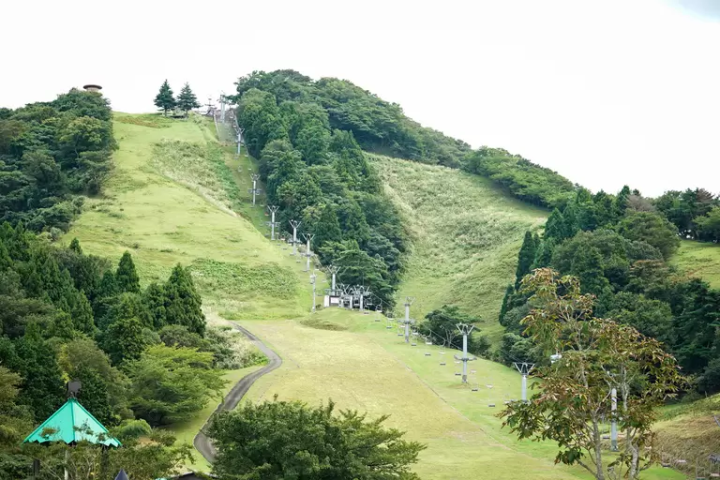 A Journey to Discover the Origins of Kobe Beef