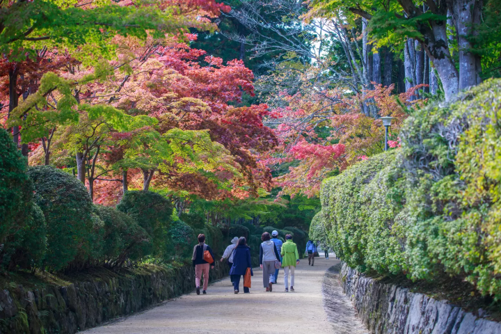 高野山までの行き方