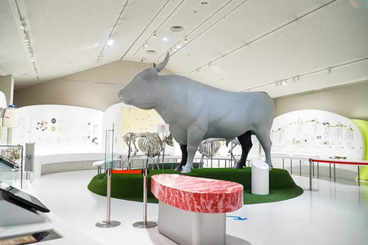 A Journey to Discover the Origins of Kobe Beef