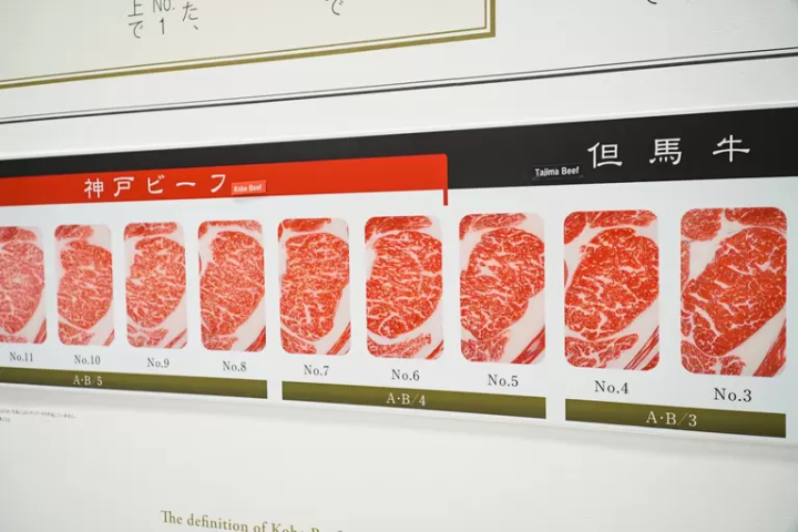▲ Photos comparing the degree of marbling, color, and fine muscle fibers between Kobe Beef and Tajima cattle. 