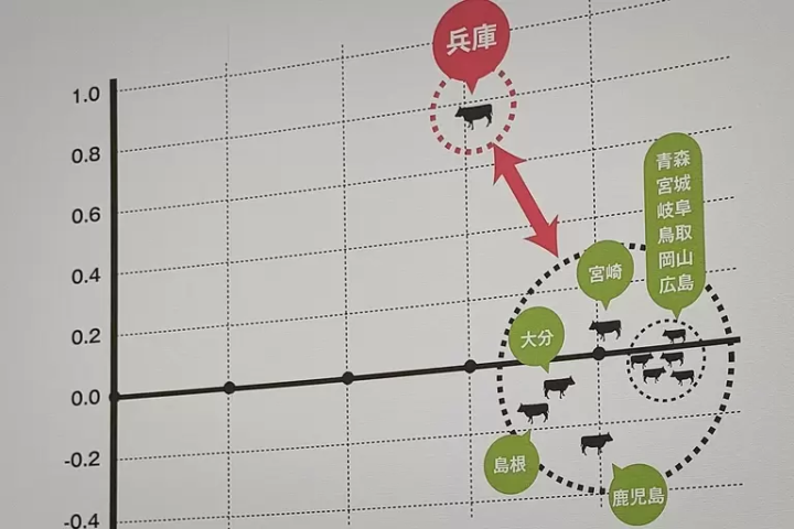 ▲ A diagram showing the pure bloodline of Tajima cattle, which has been maintained without crossbreeding with outside cattle. 
