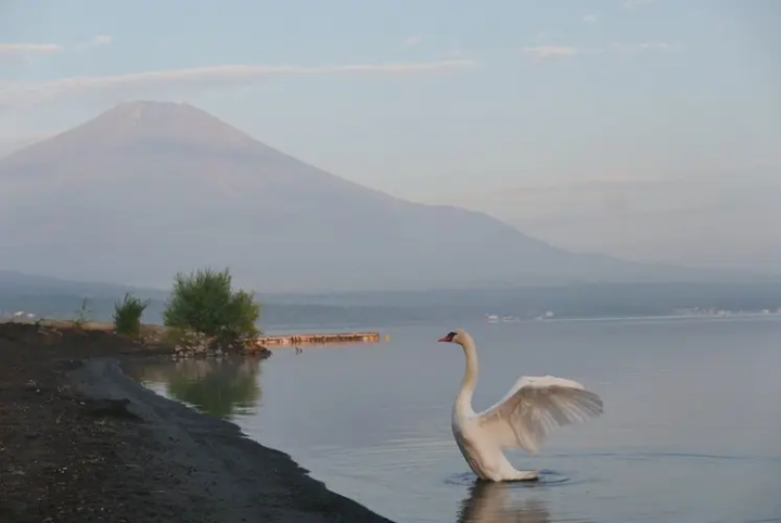 来源：hinata 现货 