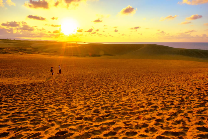 鳥取砂丘的砂丘與夕陽