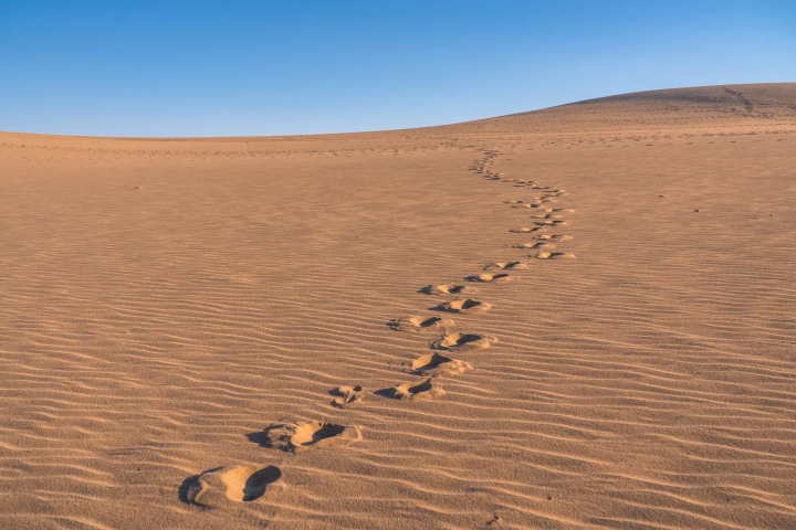 鳥取砂丘的砂丘與海