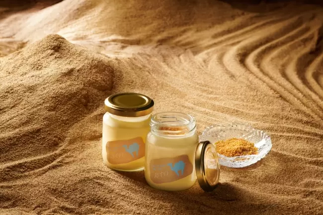 日本全國第一！砂布丁！？