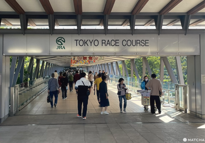 東京競馬場