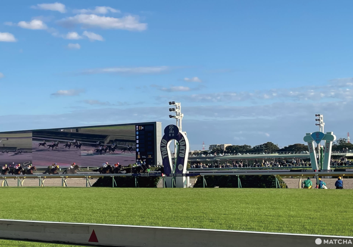 東京自由行推薦：探索東京競馬場的多元樂趣