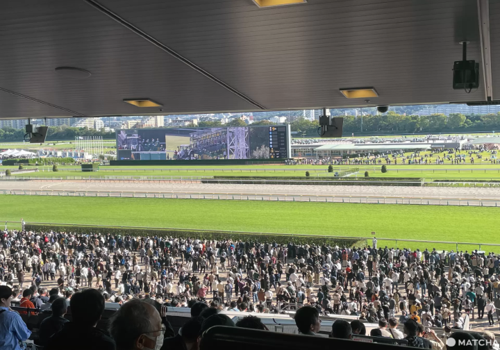 東京競馬場座位