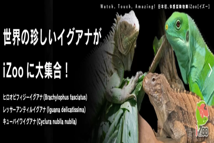 伊豆観光のモデルコース(日帰り・1泊2日・2泊3日)！体験型スポットやおすすめグルメ