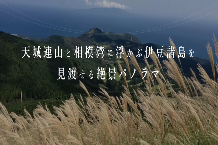 伊豆観光のモデルコース(日帰り・1泊2日・2泊3日)！体験型スポットやおすすめグルメ