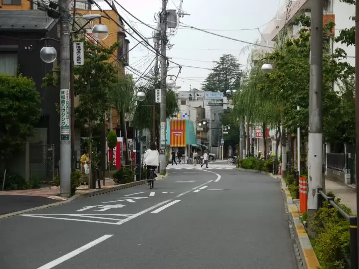 (Yakushiyanagi Street in front of Arai Yakushi Gate) 