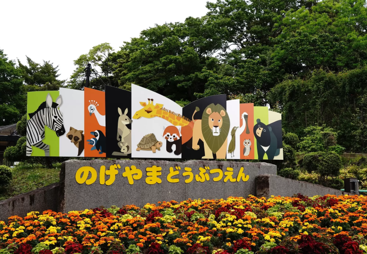 橫濱野毛山動物園是免費入場的親子景點