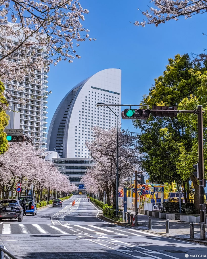 橫濱洲際大酒店的帆船造型建築很有特色