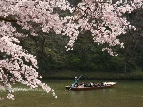東北岩手的隱藏景點!在猊鼻溪享受乘船和被爐火鍋的樂趣!