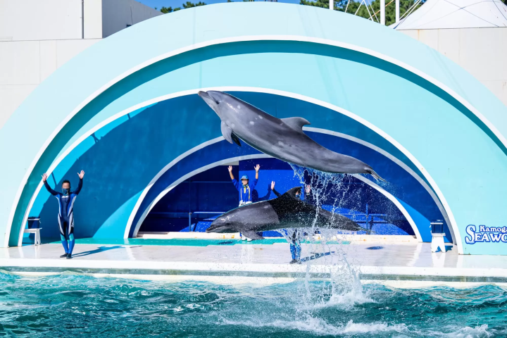 鴨川シーワールド