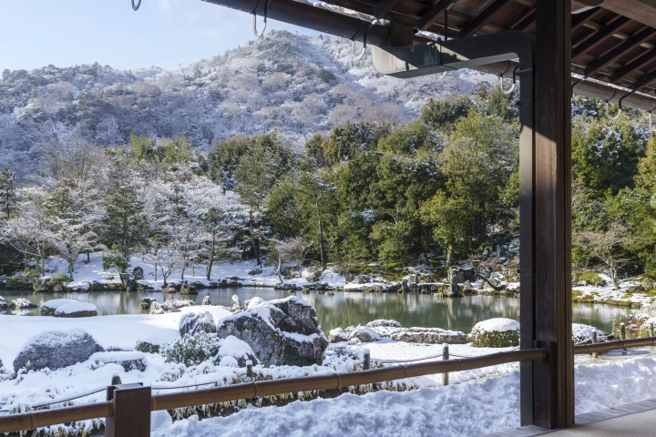 japanese garden in snow