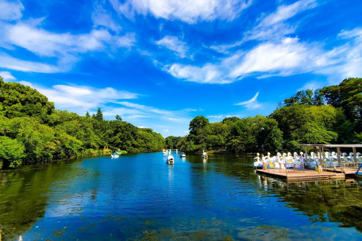 【東京景點20選】最新設施與必去行程、深度旅遊看這篇就夠！