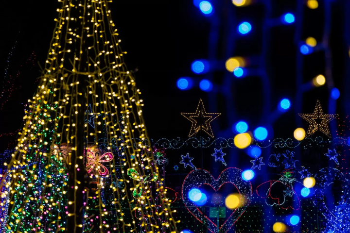 宮ヶ瀬クリスマスのイルミネーションは圧倒的!思い出に残るクリスマスを…