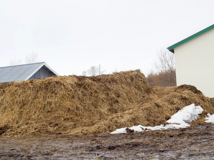Peeking into the world of horses (Churui, Makubetsu Town)