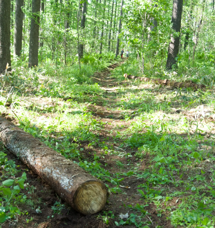 Peeking into the world of horses (Churui, Makubetsu Town)