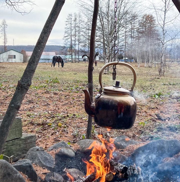 Peeking into the world of horses (Churui, Makubetsu Town)
