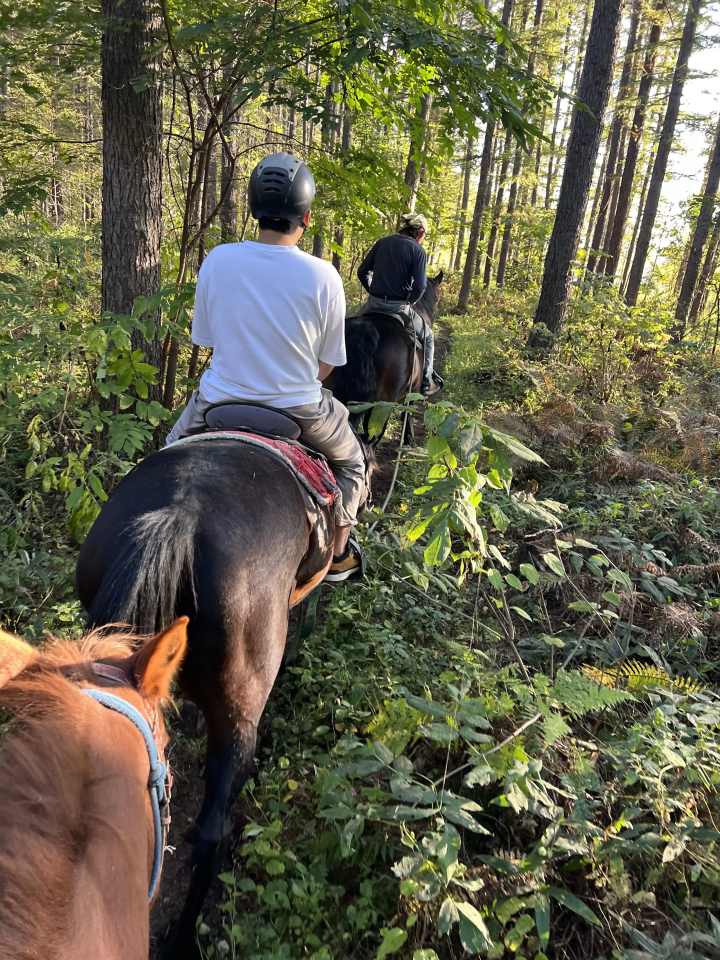Peeking into the world of horses (Churui, Makubetsu Town)
